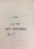La Vie Des Fourmis