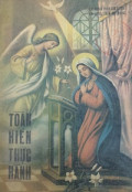 Toàn hiến thực hành